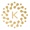 Kaprin Logotype
