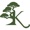 Karuna Behavioral Health Logotype