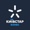 Kyivstar Business Logotype