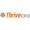 Thrive CFO Logotype