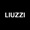Liuzzi Group Logotype