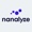 Nanalyze Logotype