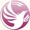 Phoenix Virtual Solutions Logotype