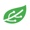 Phytech Logotype