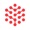 Praeclarum Tech Logotype