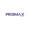 Prismax India Logotype