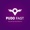 PUDO FAST TECHNOLOGIES, INC. Logotype