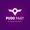 PUDO FAST TECHNOLOGIES, INC. Logotype