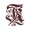 Renascence IT Consulting, Inc. Logotype