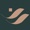 Royal Nawaab Logotype