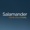 Salamander Prime Solutions. Logotype