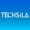 Techsila LLC Logotype