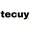 Tecuy Media Logotype