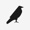 TheRaven Logotype
