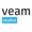 Veam Studios Ltd Logotype