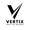 Vertix Auditing Logotype