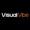 VisualVibe Logotype