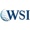WSI DM INC. Logotype