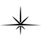 Ad Astra Flights Logotype