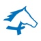 Alberta Equestrian Federation Logotype