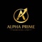 Alpha Prime Services LTD Logotype