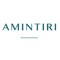 Amintiri Logotype
