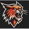 AngryLynx Logotype