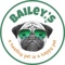 Bailey's CBD Logotype