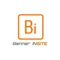 Banner InSite Logotype