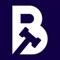 BidZoo Logotype