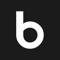 Bigbuda - Agencia Digital, CRO y Diseño Web Logotype