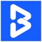 Bitronix Technologies Logotype