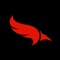 Blackbird International Movers Logotype