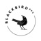 Blackbird PPC Logotype
