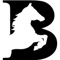 Blackcoffer Logotype