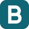 Blexor Technologies Logotype