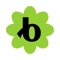 Bloomerang Logotype
