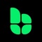Bloomit Logotype
