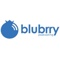 Blubrry Podcasting by RawVoice Logotype