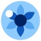 Blue Iris Labs Logotype