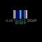 Blue Source Group Logotype