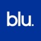 Blu Selection - Recruitment Agency Logotype
