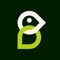 Bold Penguin Logotype