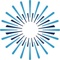 BostonSight Logotype