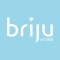 Briju 1920 Logotype