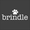 Brindle Pet Supplies Logotype
