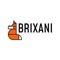 Brixani sp. z o.o. Logotype
