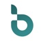 Byteimpulse Logotype