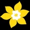 Canadian Cancer Society Logotype