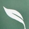 Center for Natural Medicine LLC Logotype